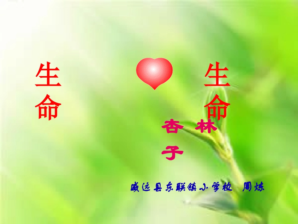 生命生命（周炼）_第1页