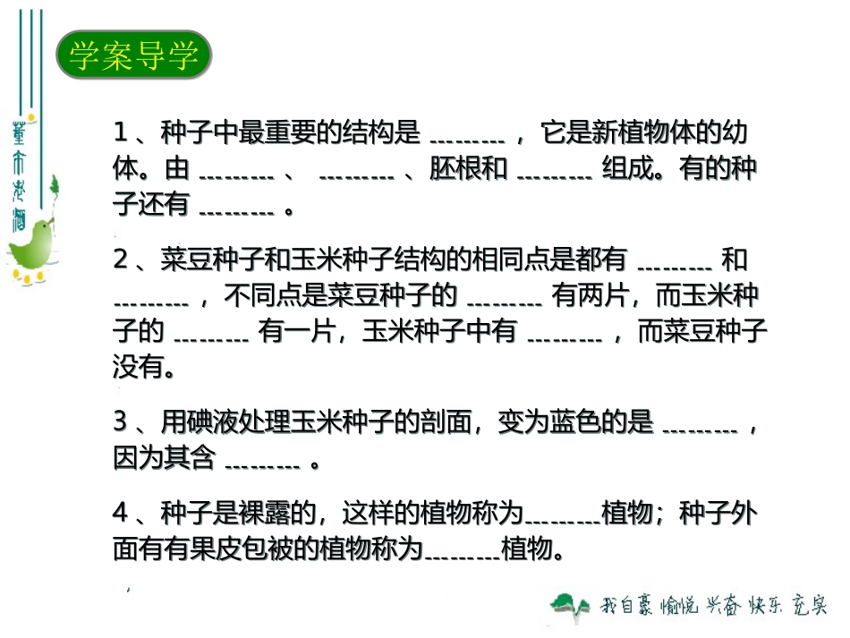 最新人教版312种子植物_第2页