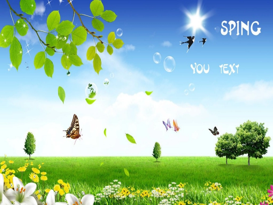 《落叶》课件_第2页