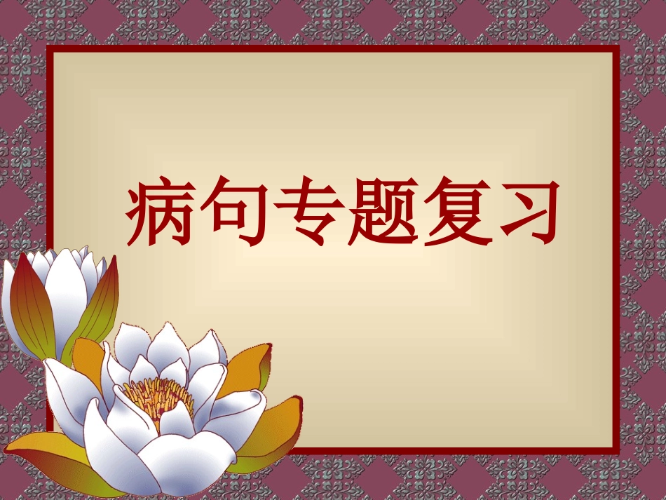 )病句专题复习_第1页