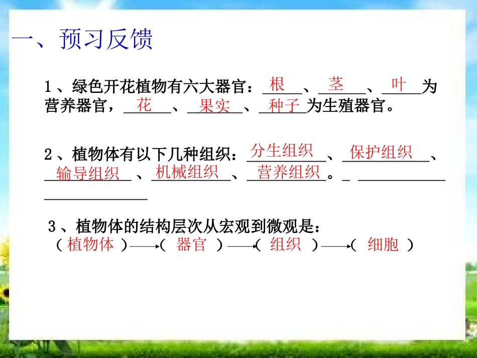 植物体的结构层次123_第3页