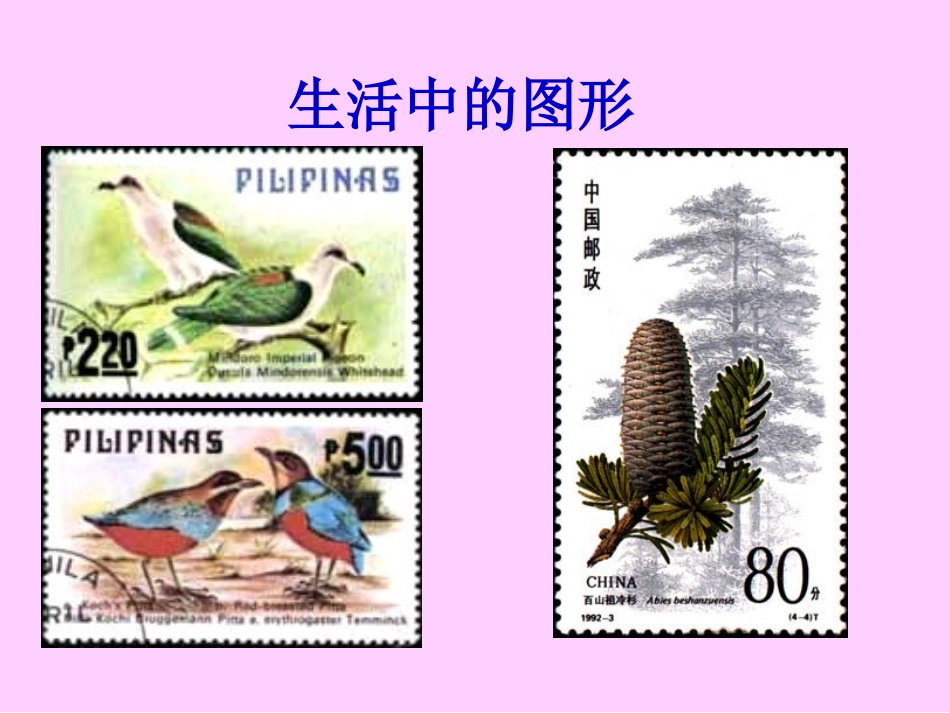 长方形与正方形_第3页