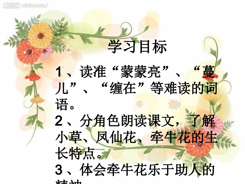 小鸟和牵牛花课件_第3页