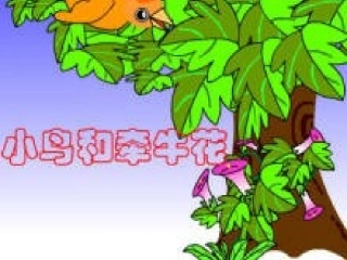 小鸟和牵牛花课件