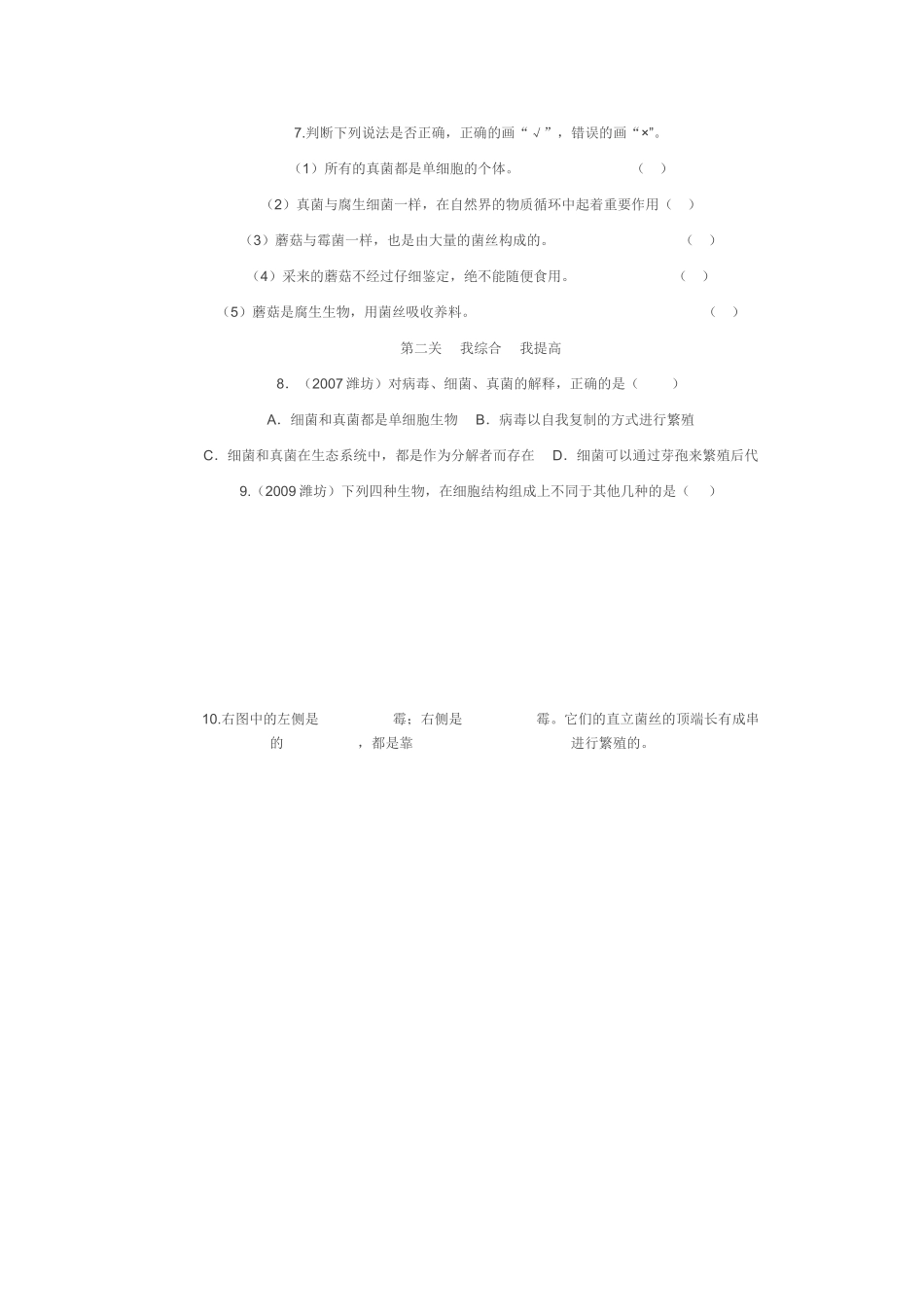 真菌导学案李洪波_第3页