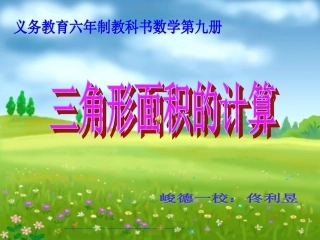 三角形面积计算PPT课件