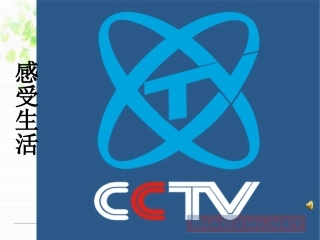 用字母表示数杨力