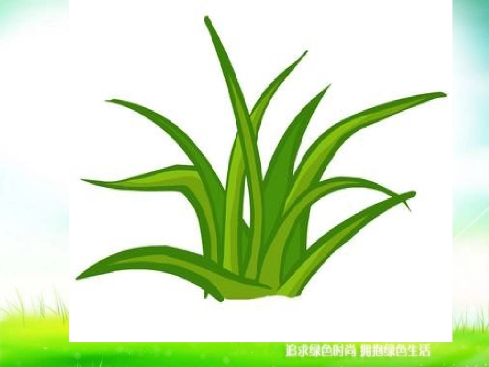 小草的生命（小学语文二上PPT）_第2页