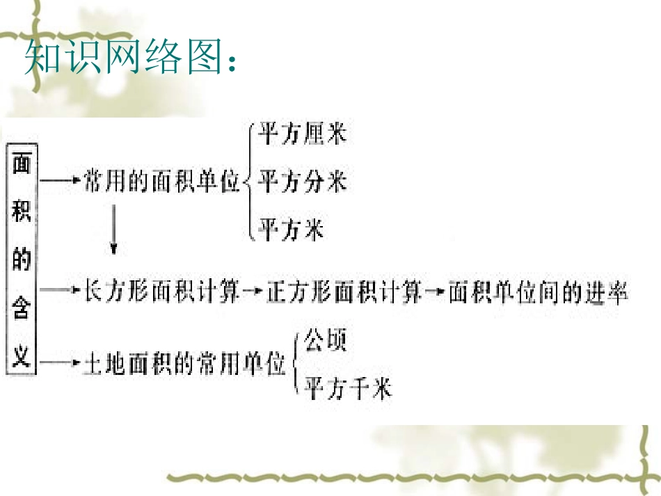 人教版小学数学三年级下册第六单元整理和复习_第2页