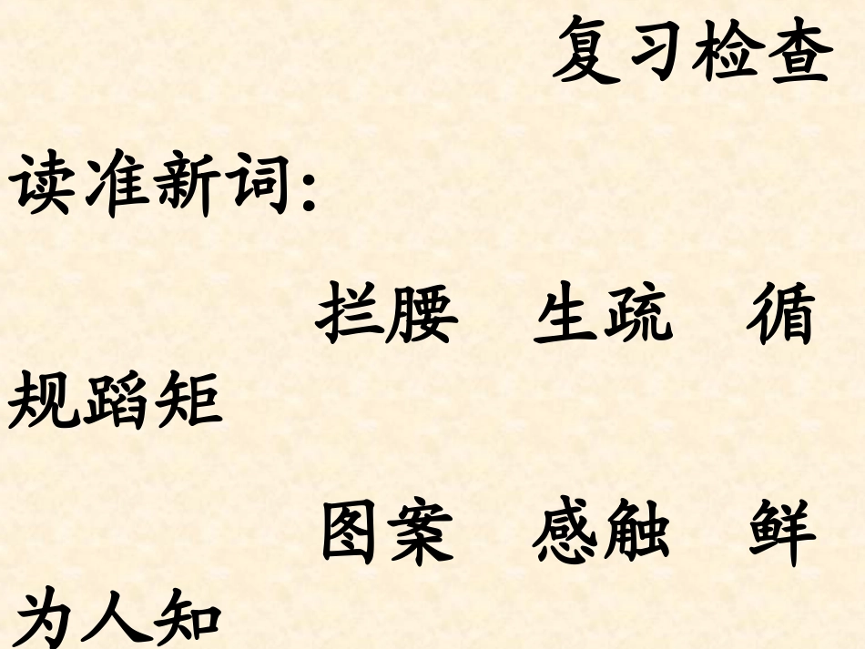 苹果里的五角星课件3_第2页