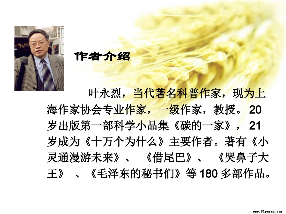 真理诞生于一百个问号之后PPT1_第2页