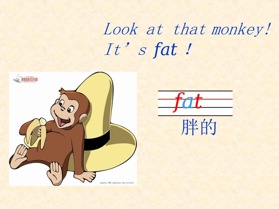 新版pep小学三年级英语下册unit3_at_the_zoo_B_let's_learn_第3页