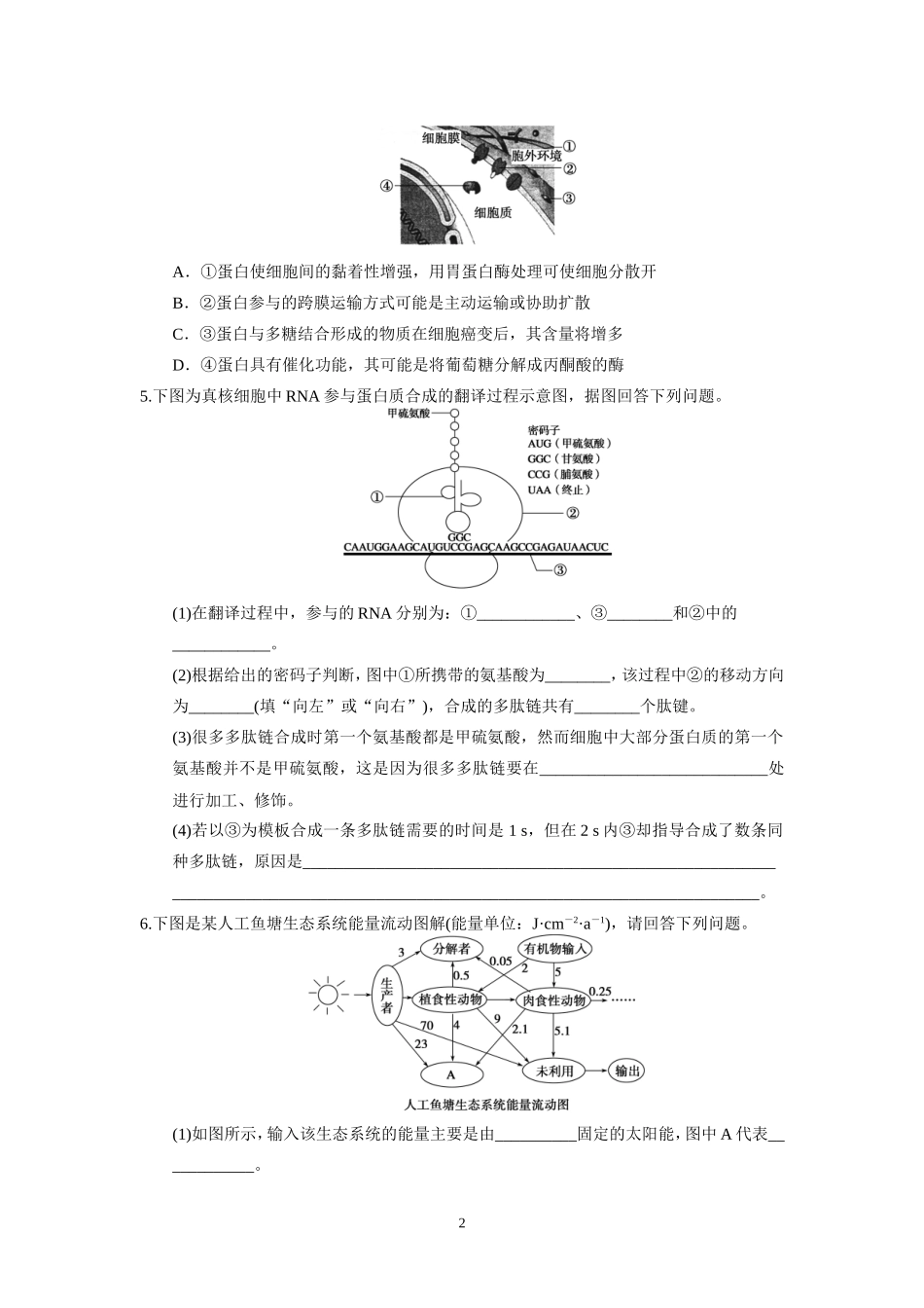 能力讲座1图像、图解、图谱类作业（学生版）_第2页