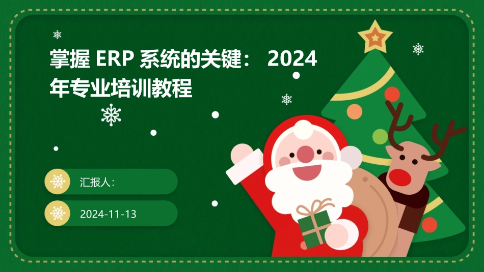 掌握ERP系统的关键：2024年专业培训教程_第1页