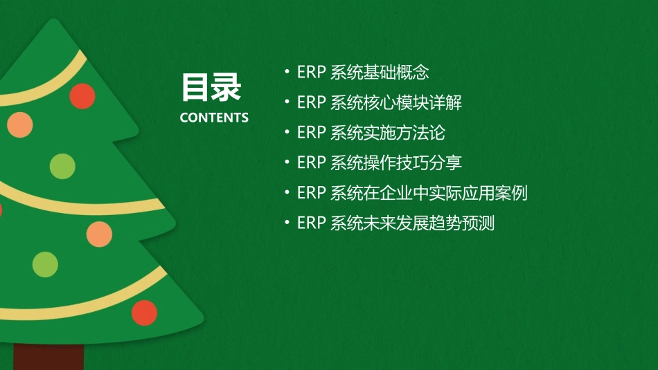 掌握ERP系统的关键：2024年专业培训教程_第2页