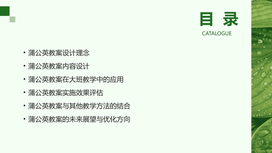 2024年最新教育趋势：大班语言教学教案蒲公英的设计与应用_第2页