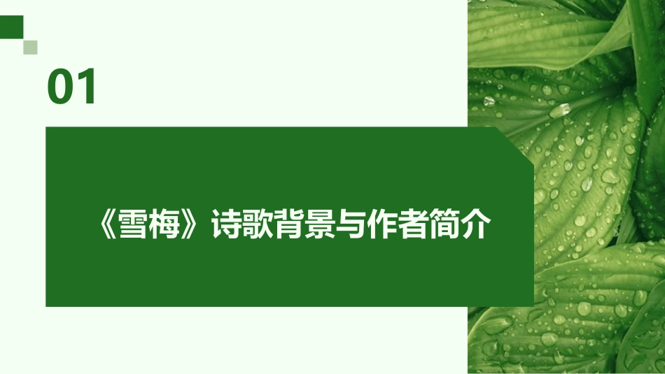 2024年春季《雪梅》课件：传统文化与教育的融合_第3页