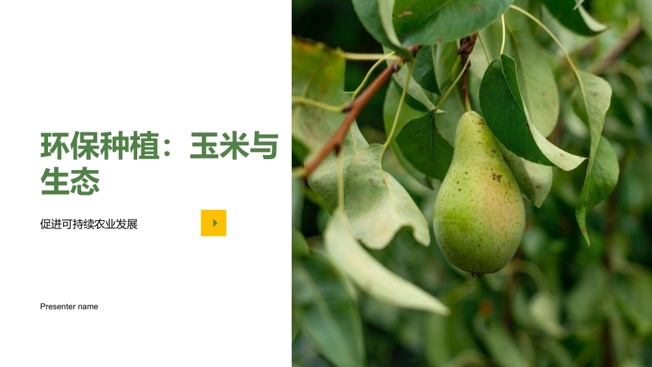 环保种植：玉米与生态-促进可持续农业发展_第1页