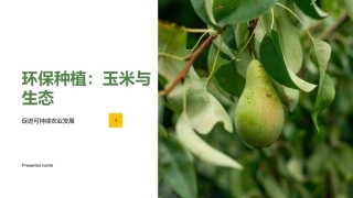 环保种植：玉米与生态-促进可持续农业发展