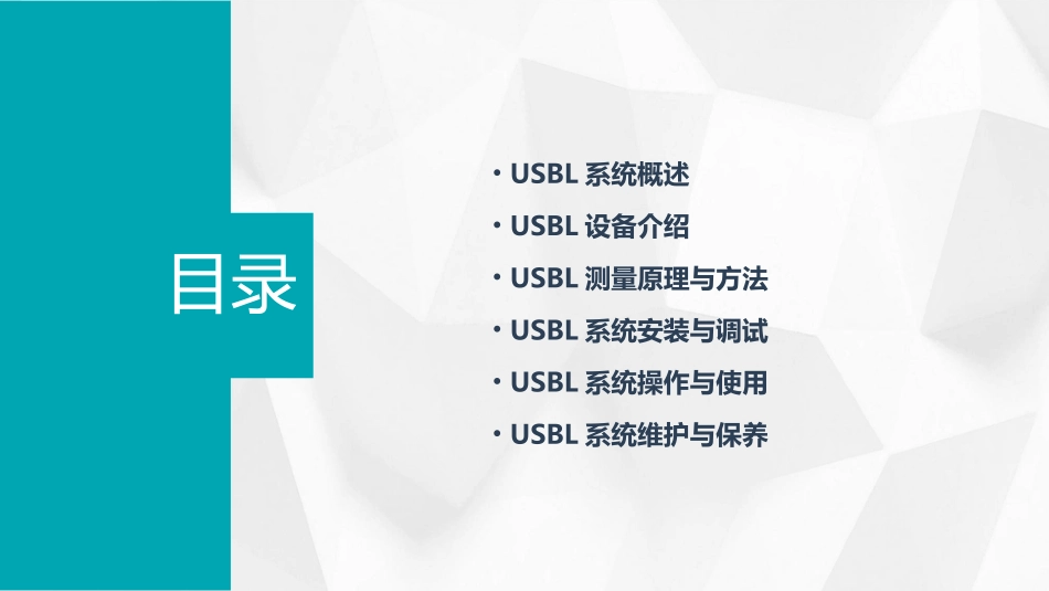 Sonardyne USBL培训教程_第2页