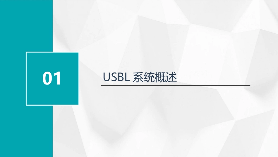 Sonardyne USBL培训教程_第3页