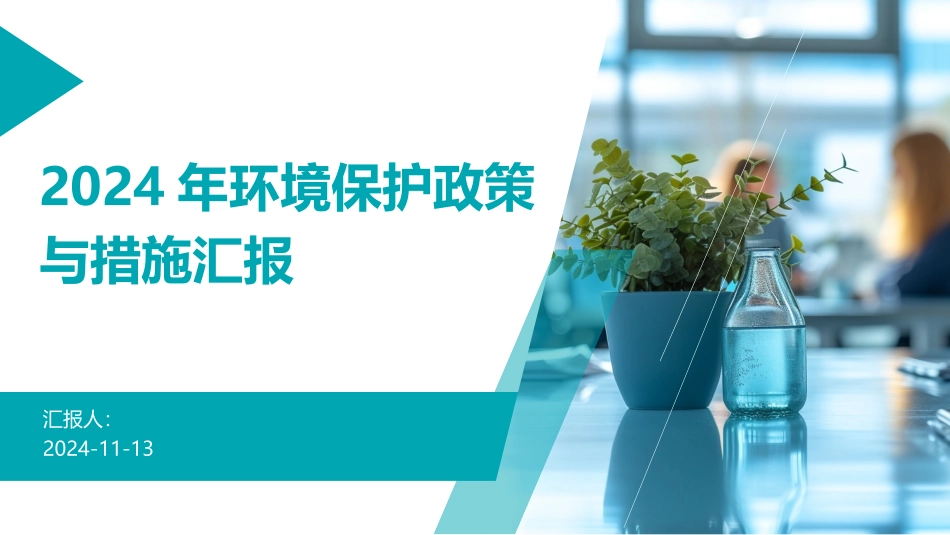 2024年环境保护政策与措施汇报_第1页
