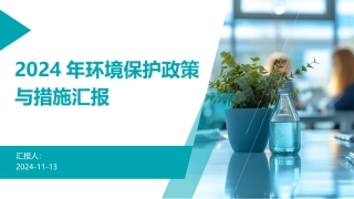 2024年环境保护政策与措施汇报