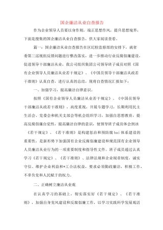 国企廉洁从业自查报告