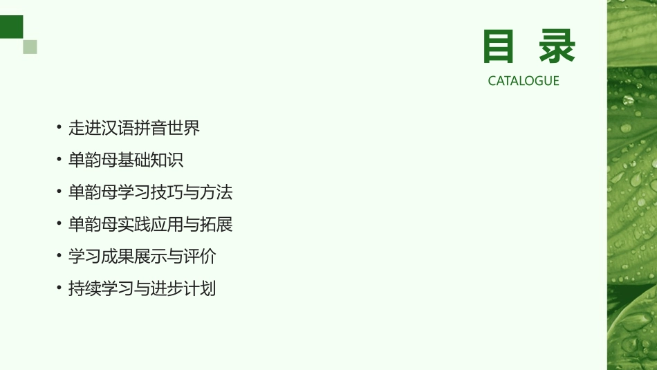 2024年小学生汉语拼音学习：单韵母助力成长_第2页