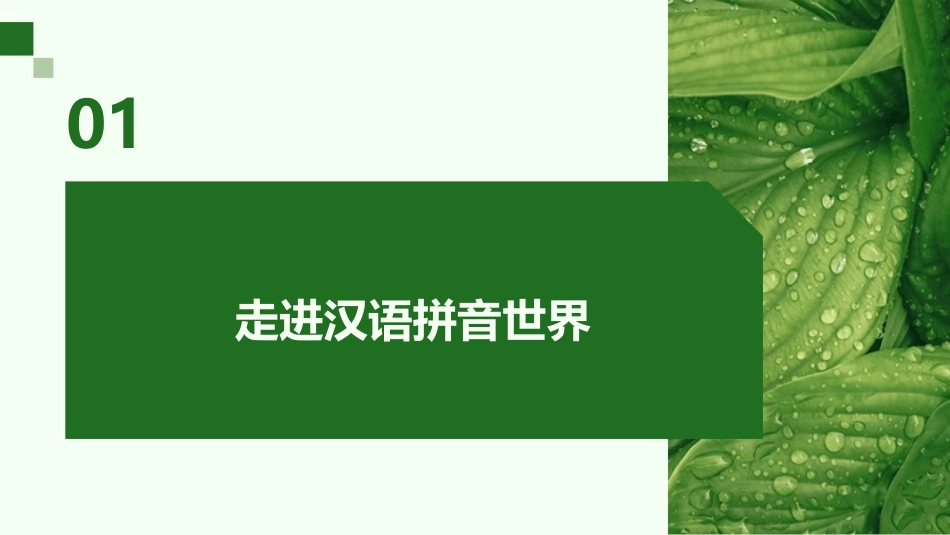 2024年小学生汉语拼音学习：单韵母助力成长_第3页
