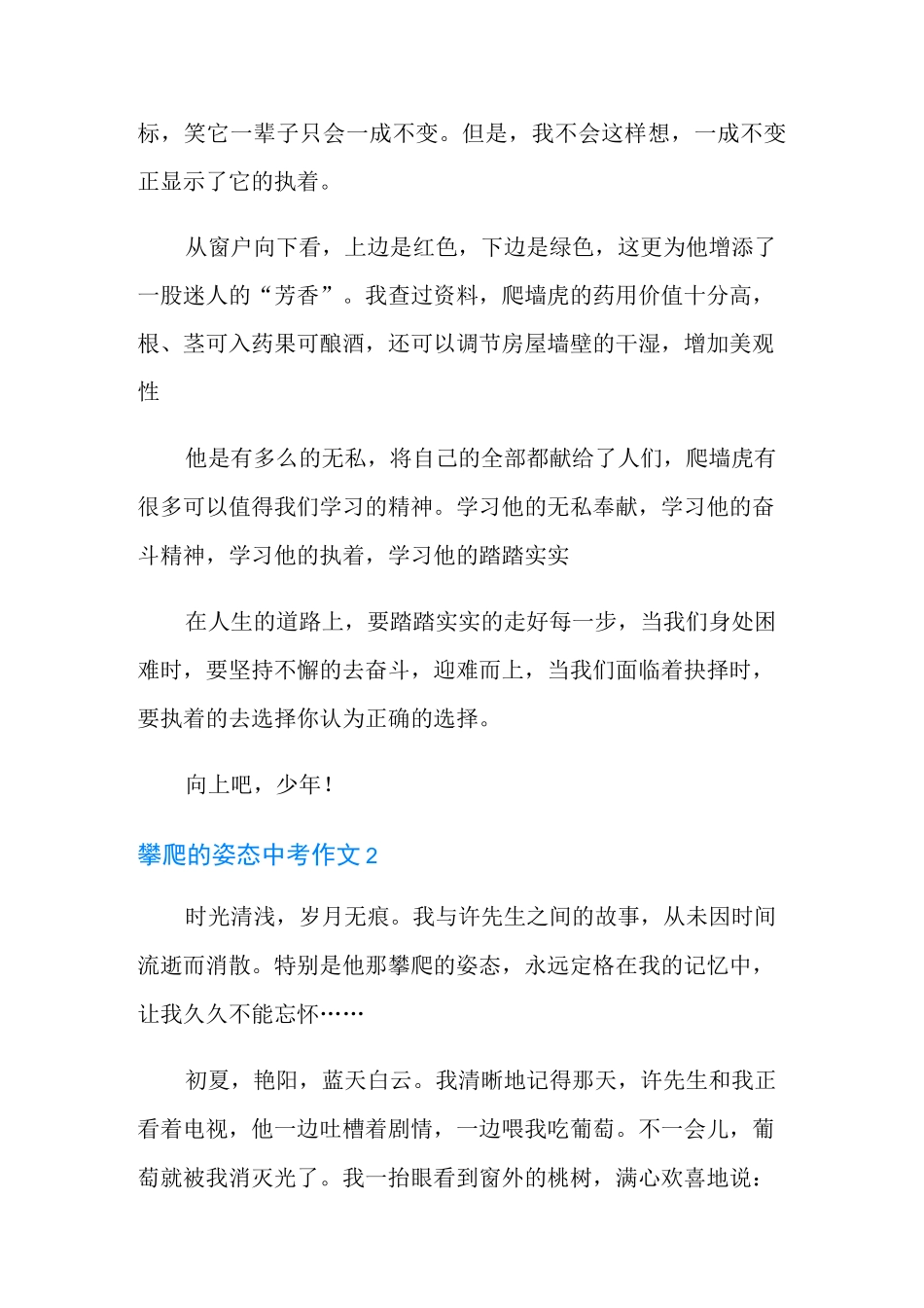 攀爬的姿态中考作文_第2页