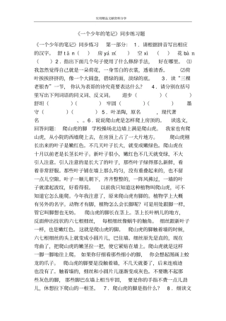 一个少年的笔记同步练习题