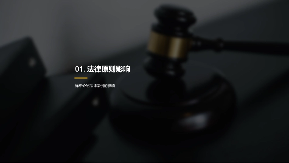 法学教学课件-法律理论与案例理解_第3页