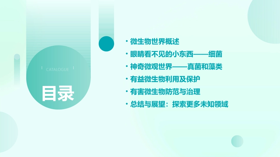 大班语言绘本微生物那些眼睛看不见的小东西教_第2页