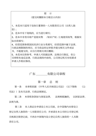 一人自然人独资公司章程参考范本适用于设执行董事