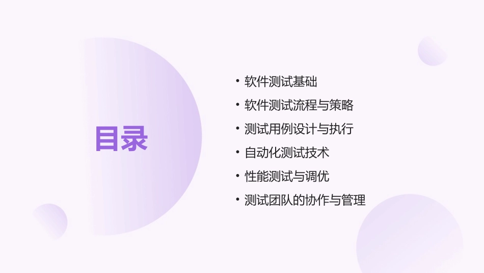2024年软件测试工程师培训攻略_第2页
