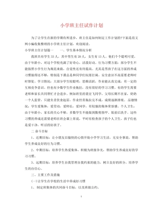 小学班主任试作计划