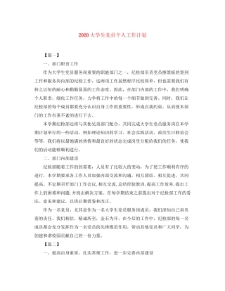 大学生党员个人工作计划