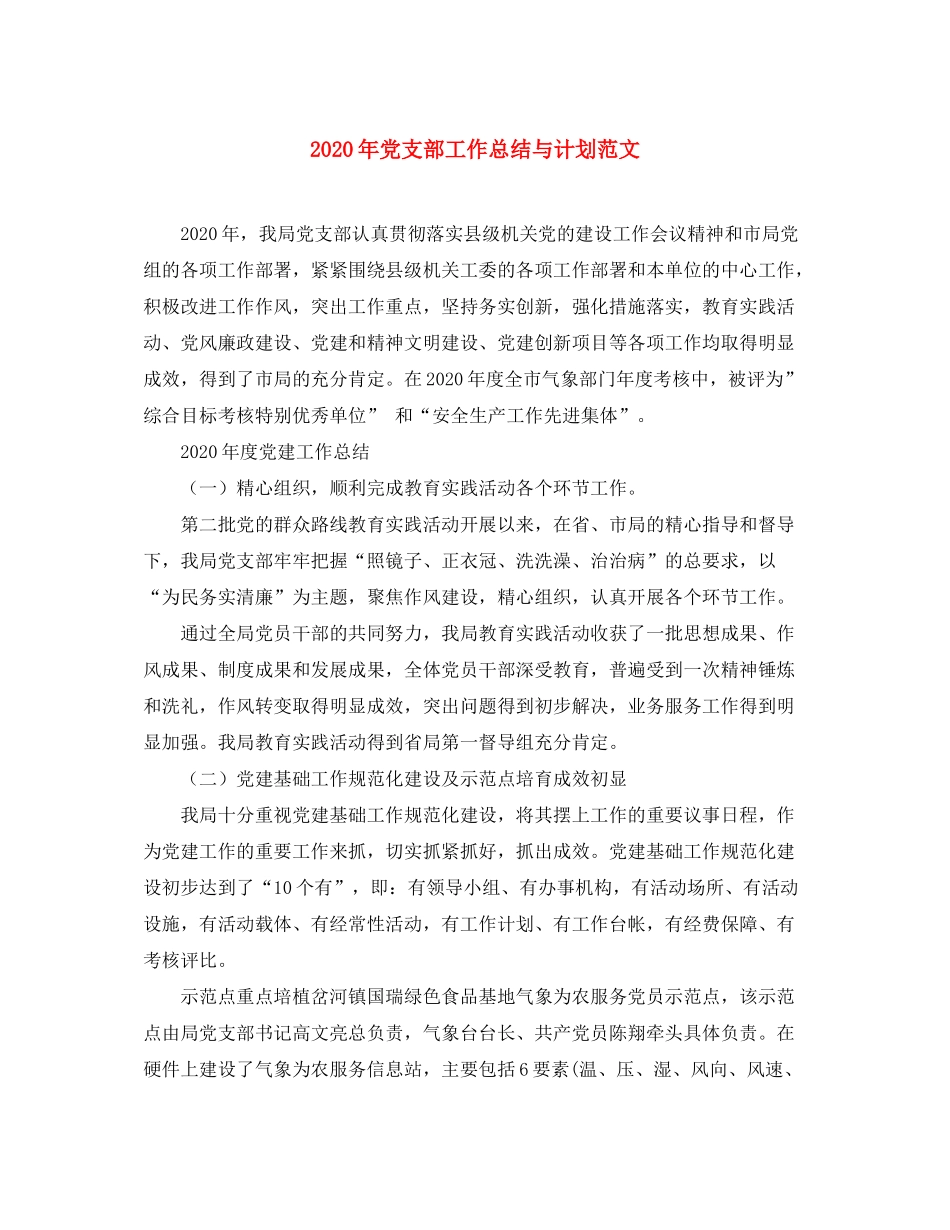 2020年党支部工作总结与计划范文_第1页