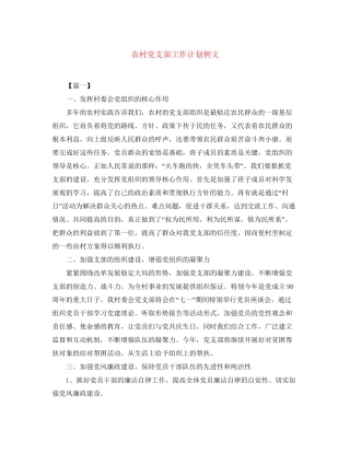 农村党支部工作计划例文