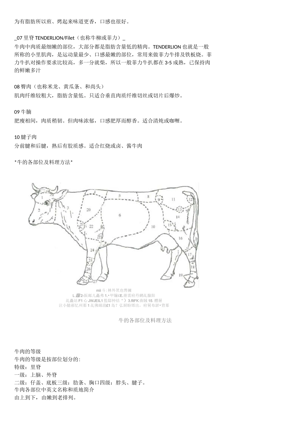 牛肉的部位图解与做法牛肉各个部位分布图及质地简介_第2页