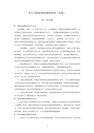 某公司股权期权激励制度(初稿)