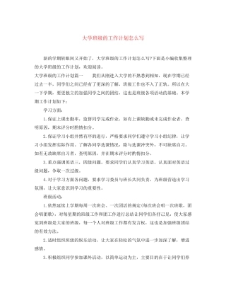 大学班级的工作计划怎么写