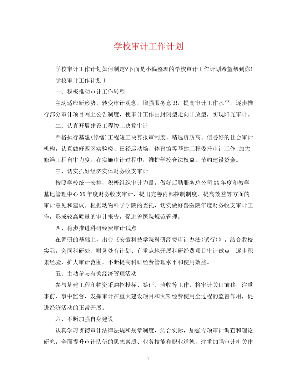 学校审计工作计划_第1页