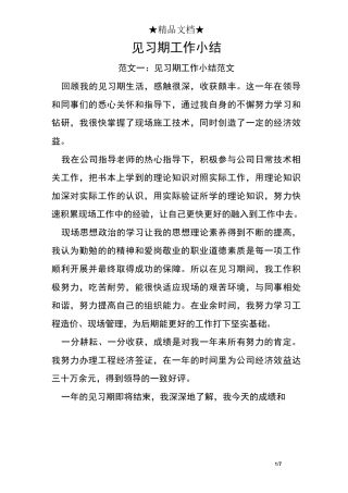 见习期工作小结