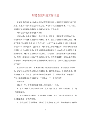 财务总监年度工作计划2