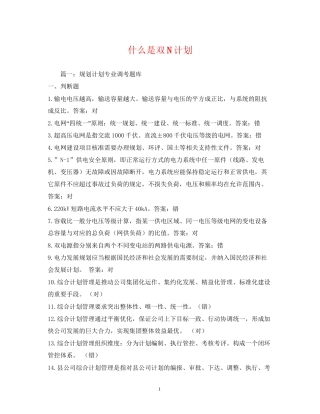 什么是双N计划