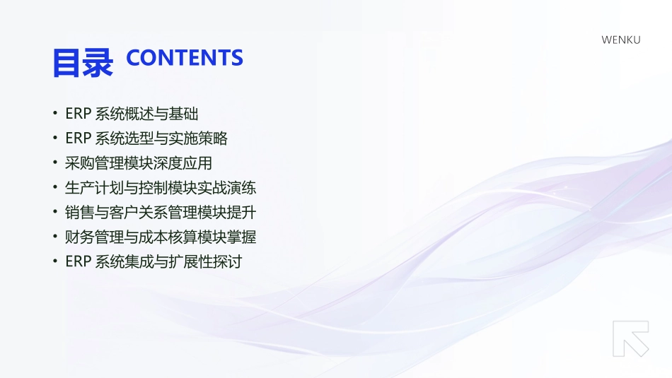 2024年供应链管理利器：ERP系统应用深度培训教程_第2页