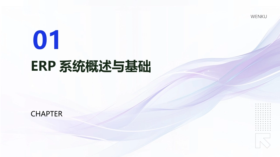 2024年供应链管理利器：ERP系统应用深度培训教程_第3页