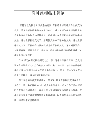 脊神经解剖--陈军民